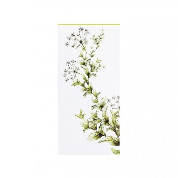 Wellness Collection Body Balance