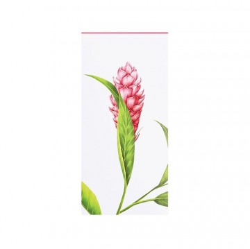 Newby Teass wellness collection energy boost flower